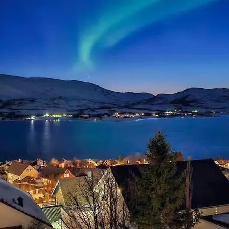 Проживание в семье Nothern Lights *